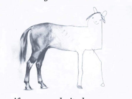 How much do you charge for your services?