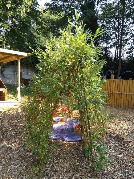 Willow_Tunnel_Summer.jpg