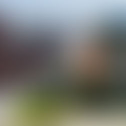 NCC Partners with Preventive Measures to Create Mental Health Zen Zones.