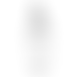 Our Lady of La Salette | Free Download Vector Monochrome Outline with no background in PNG