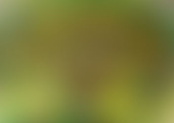 Как не бросить то, что начал?