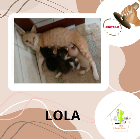 Marrom frase santo post Instagram (54).png