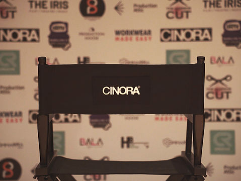 Director's-chair_10.jpg