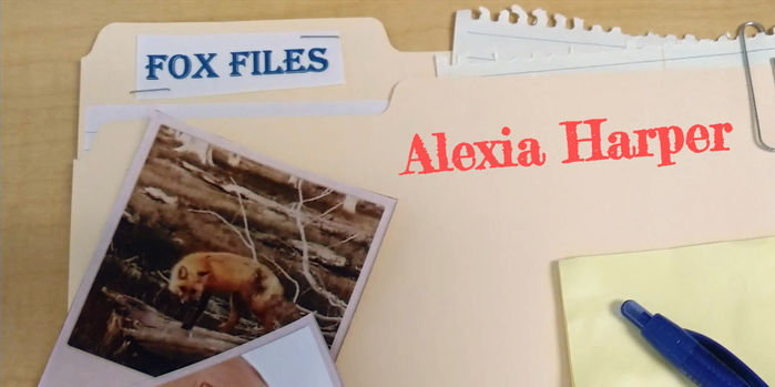 Fox Files with Alexia Harper