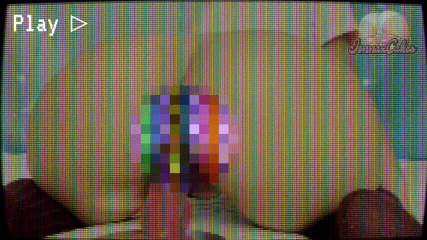 VHS Porn