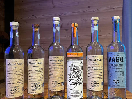 Tequila e Mezcal, una bella scoperta