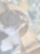 487925341_10161272152445784_1597413286244229556_n_edited.jpg