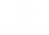 magnolia network logo