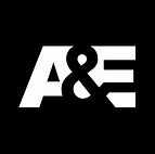 a&e logo