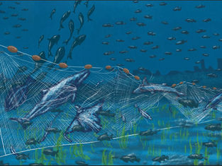 Illegal Fishing & Invisible Suffering: Why Gillnets Demand Greater Scrutiny