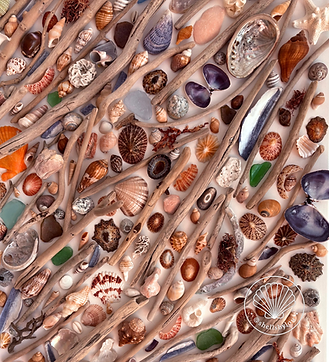 Shells By Lou Logo Art (5).png