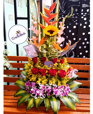 foto puesta sol sorprendiendo