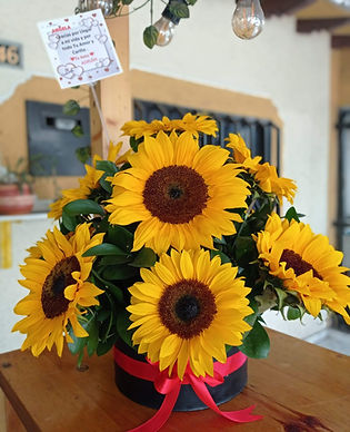 foto puesta sol sorprendiendo