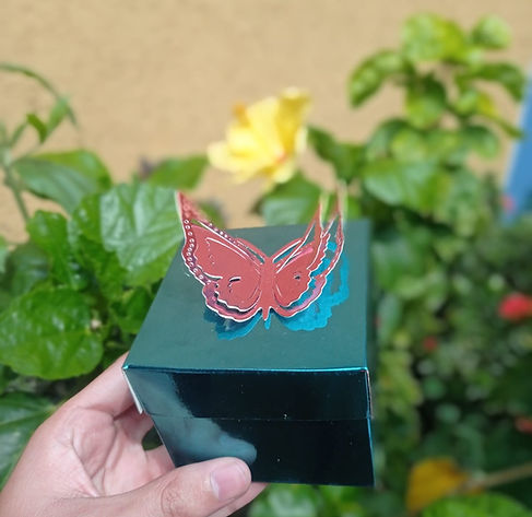 Cajita Mariposa