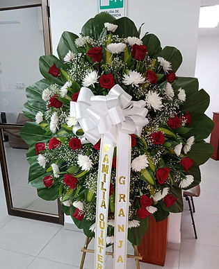 foto puesta sol sorprendiendo