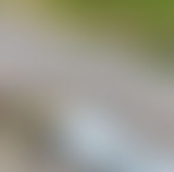 Coming Home to Myself