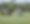 IMG_7088.png