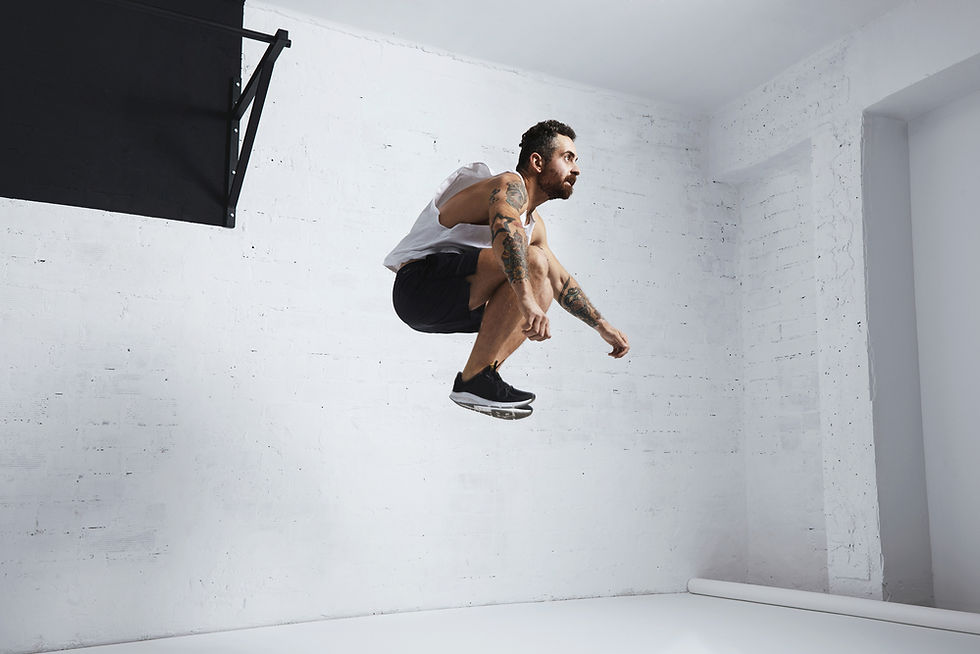 The Movement Workout