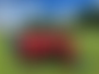 Résultats du week-end