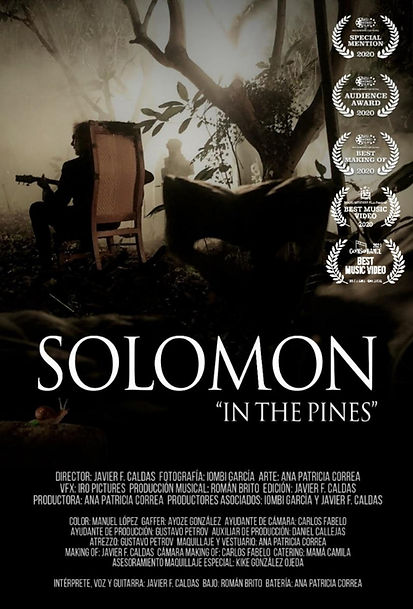 in the pines
