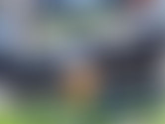 NOUS RECEVRONS DEMAIN !