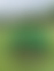 19/06 : Tournoi de Linars