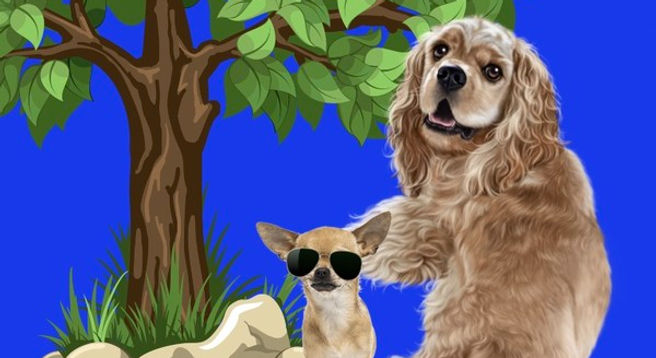 EL CAPITÁN & TOBY: "THE RESCUE"