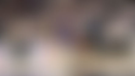 France - Hongrie au Mans