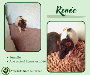 Renée