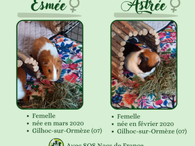 Astrée et Esmée