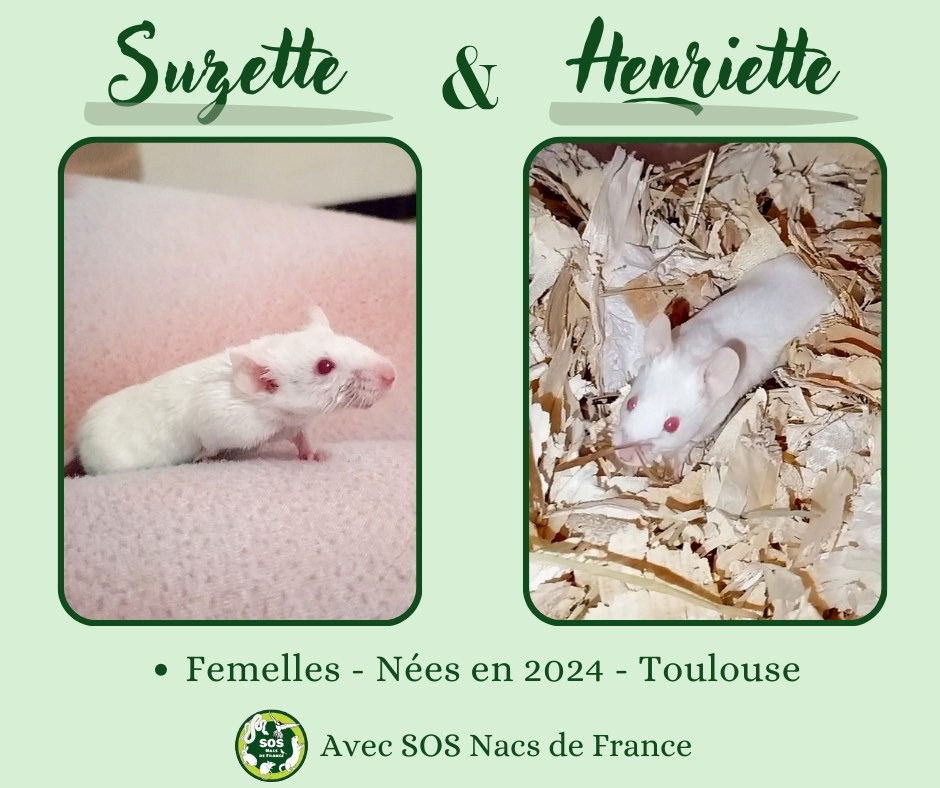 Suzette et Henriette