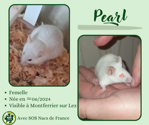 Pearl