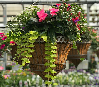 Metal Combo Hanging Basket