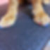 nails 2.jpg