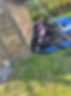 clean up.jpg