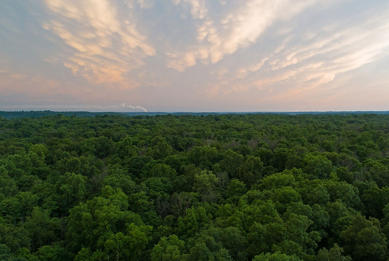 The Landing OH Homepage-6.jpeg