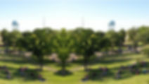 oa_background.jpg