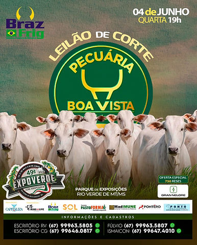 Imagem do WhatsApp de 2025-05-25 à(s) 21.53.22_99b79441.jpg