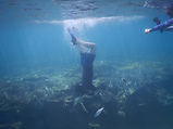 DSCN9477.JPG