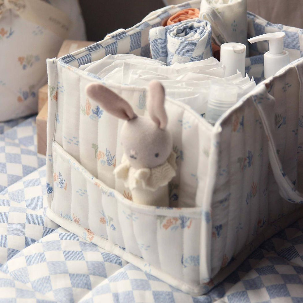縮圖：家居尿布整理袋 Nappy caddy