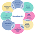 Neurodiversity - different ways of learning