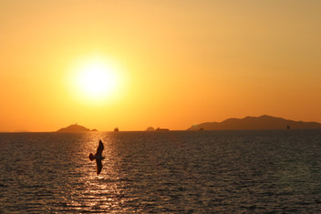 About Leah Lee portfolio