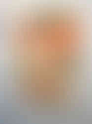 FIII