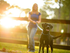 Why Positive Reinforcement Works?