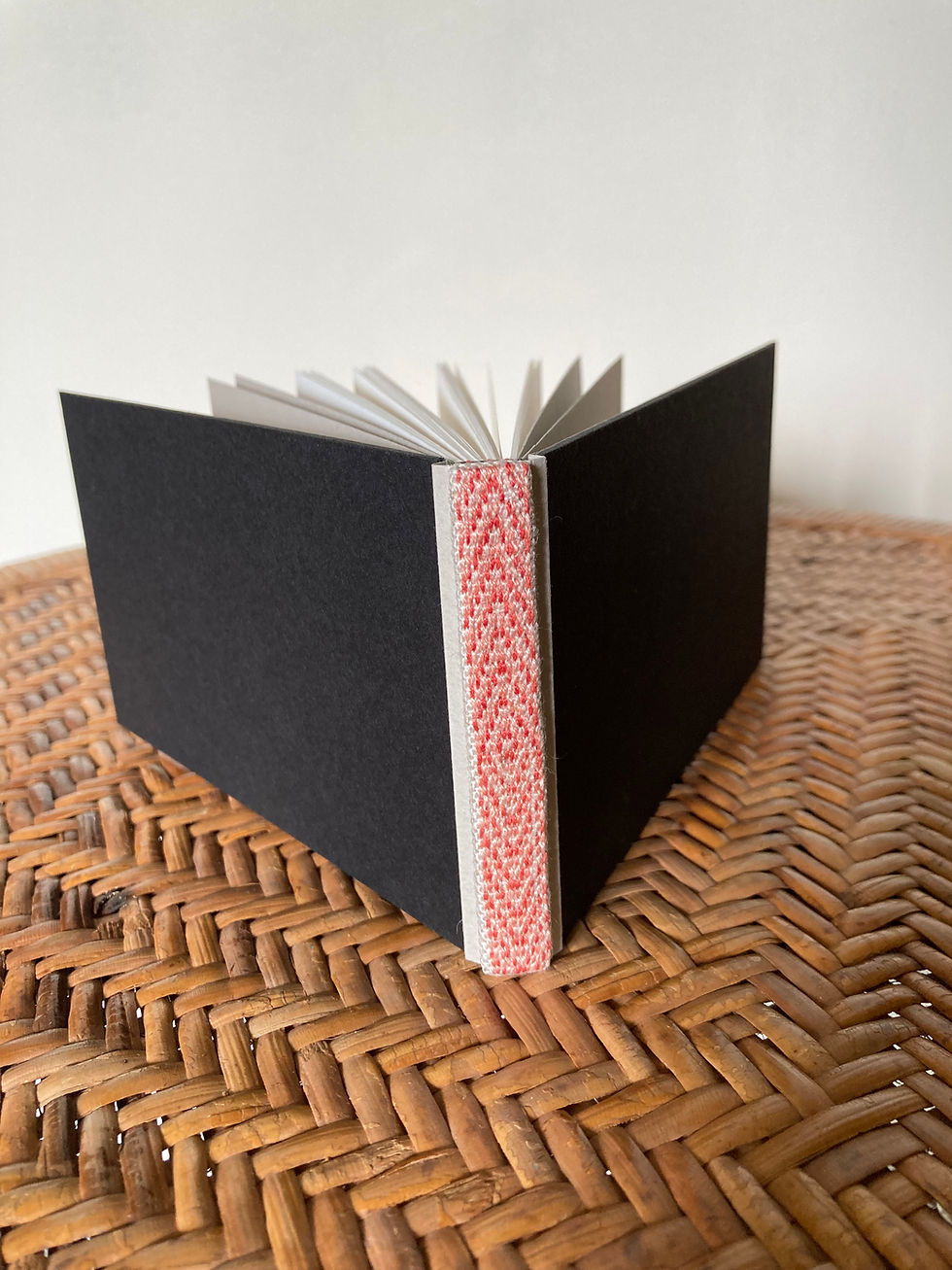 Miniature : CARNETS Point Avant