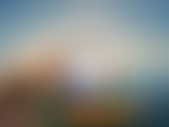 반달곰 먹튀사이트 gom117.com - [가상경기사이트]