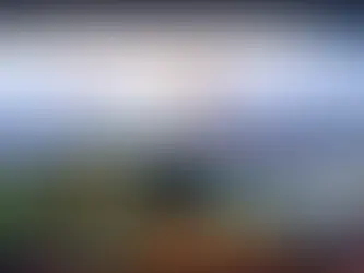 스카이 먹튀사이트 kor-77.com - [가상경기사이트]