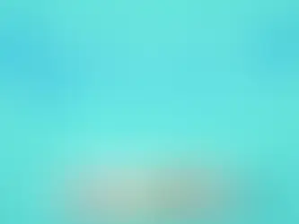 올리-먹튀확정 ol-11.com 먹튀사이트 - [슬롯사이트주소.com]