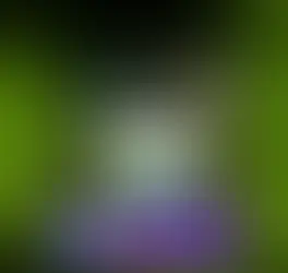 리들 먹튀사이트 the-ybk.com [ 해외안전놀이터추천] 