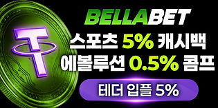 260812 벨라벳 400x200.jpg